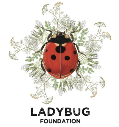 Lady Bug Foundation